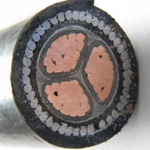 16mm² 3 Kern Stahldraht Gepanzerte Kabel Kupferdraht verseilt für Innenverlegung